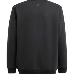 Adidas ALL SZN Graphic sweater junior black