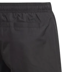 Adidas Classic Badge Of Sport zwembroek junior black
