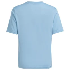 Adidas Tabela voetbalshirt junior 23 team light blue whit