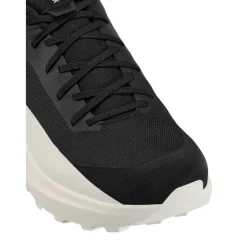Arc'teryx Norvan LD 4 wandelschoenen heren black arctic silk