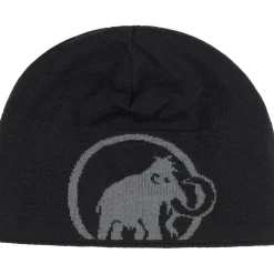 Mammut Logo muts steel-black