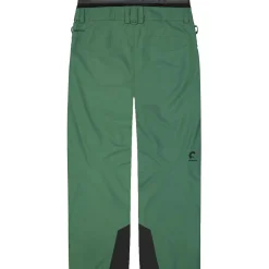 Picture Object skibroek heren smoke pine