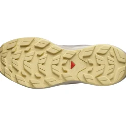 Salomon ELIXIR ACTIV GORE-TEX wandelschoenen dames iron etherea tuc sunlight