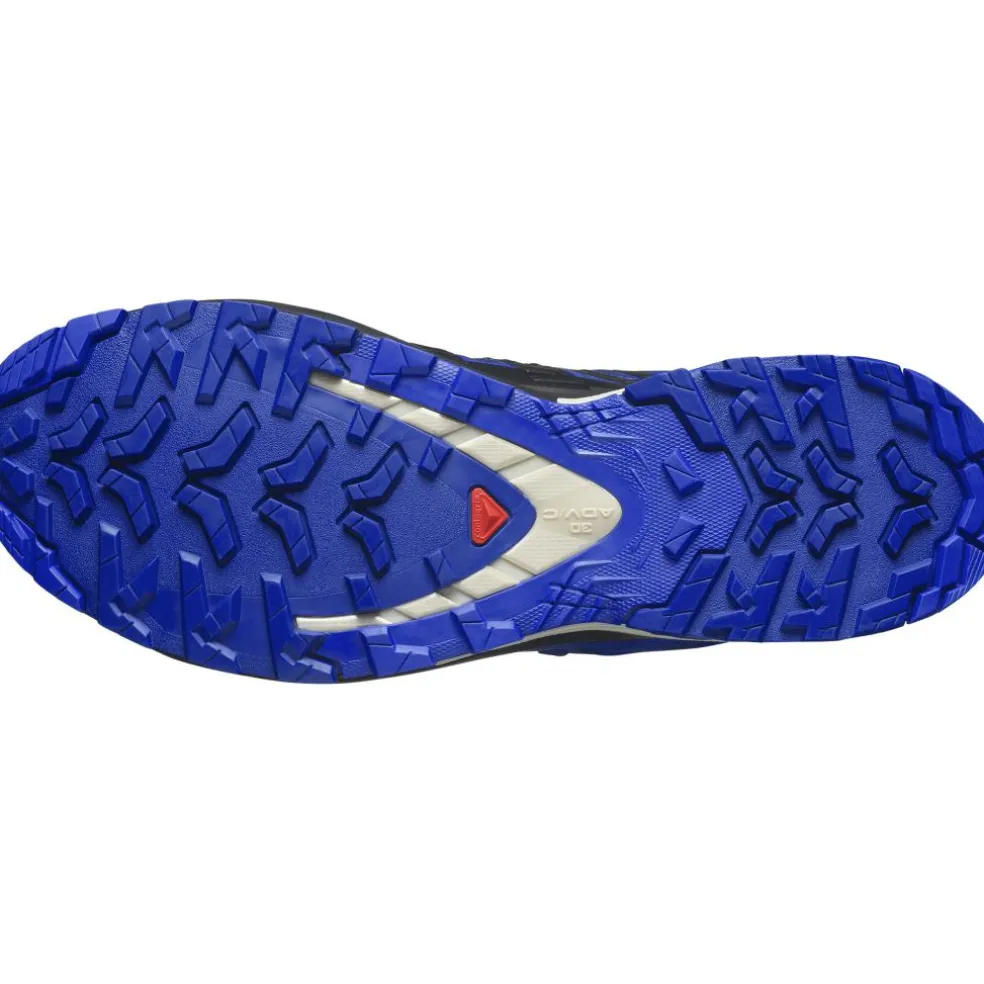 Salomon XA PRO 3D V9 GORE-TEX wandelschoenen heren blue print surf the web lapis blue
