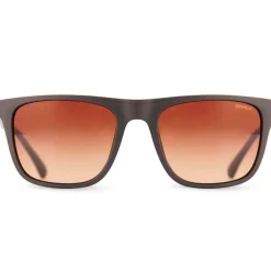 Sinner Kirby Sintec zonnebril dark brown